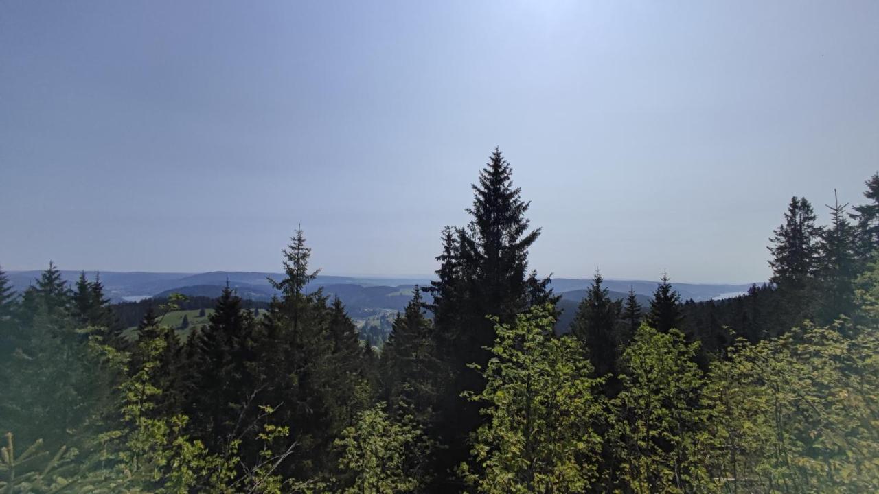 Am Berg Apartment Feldberg  Exterior photo